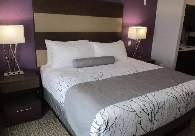 ホテル Best Western Plus Buda Austin Inn & Suites