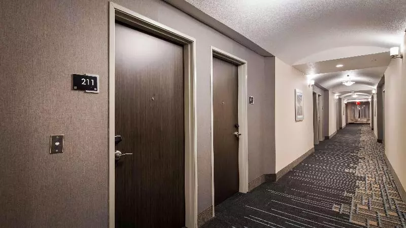 ホテル Best Western Plus Buda Austin Inn & Suites