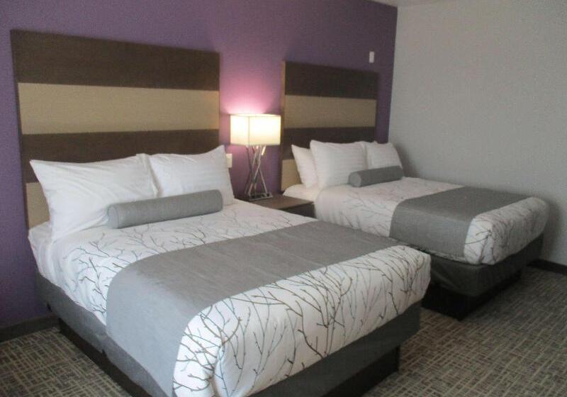 Hotel Best Western Plus Buda Austin Inn & Suites