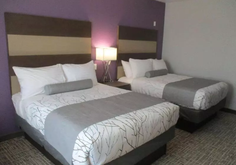 ホテル Best Western Plus Buda Austin Inn & Suites