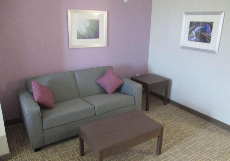 Hotel Best Western Plus Buda Austin Inn & Suites