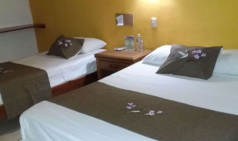 فندق Punta Ponto