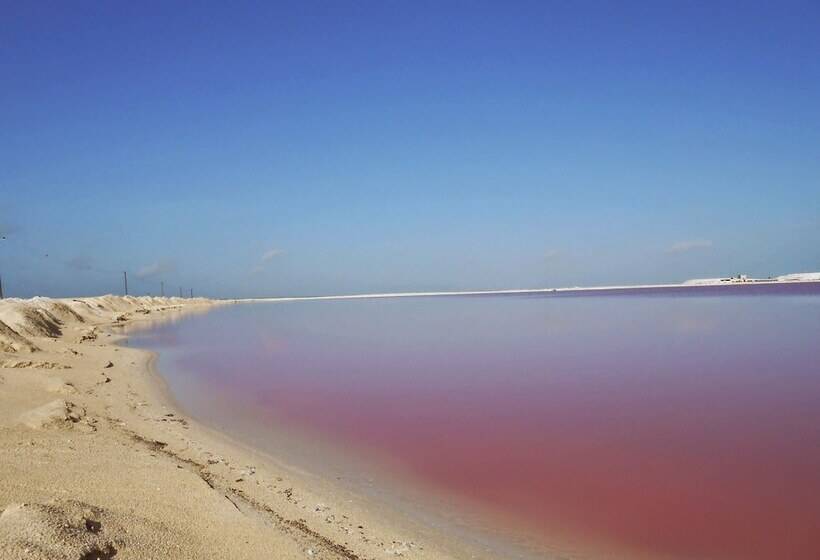 فندق Punta Ponto