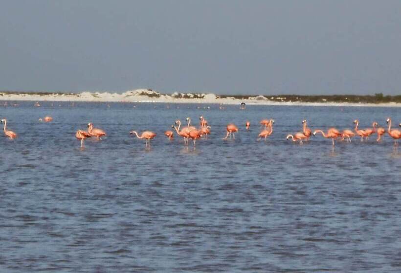 فندق Punta Ponto