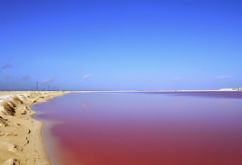 فندق Punta Ponto