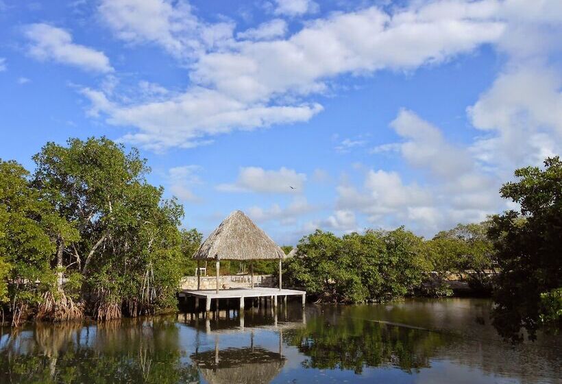 فندق Punta Ponto