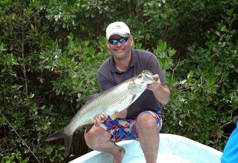 فندق Punta Ponto