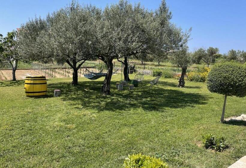 צימר Bed&breakfast Nada