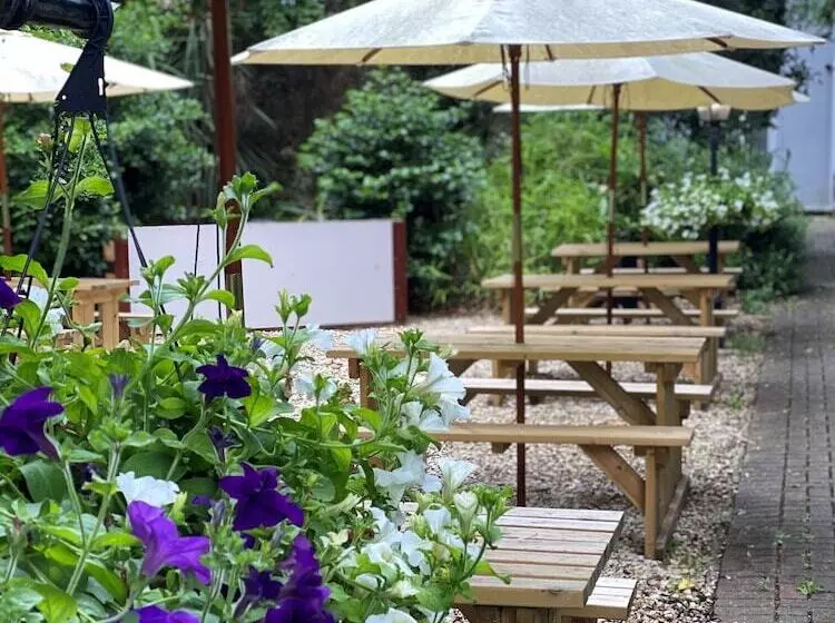 Aamiaismajoitus (B&B) Castle View