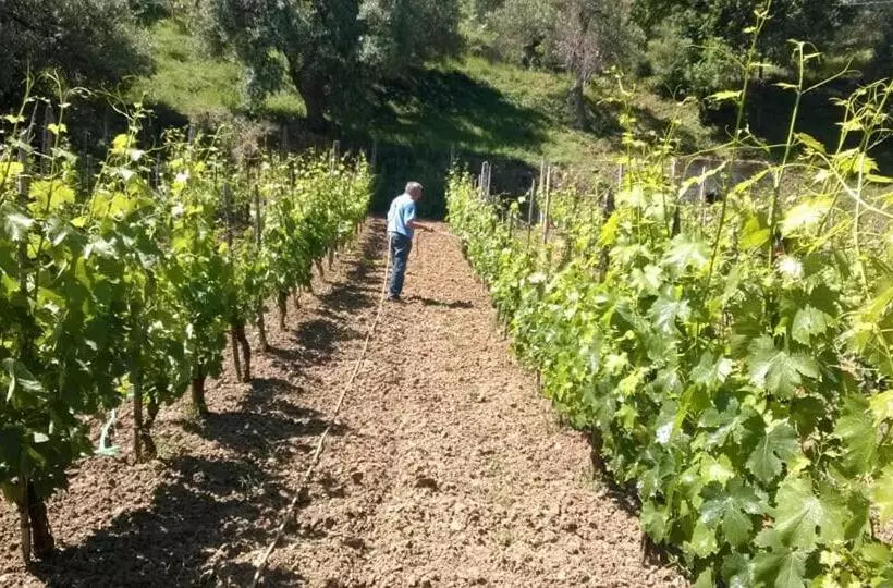 Hotelli Agriturismo San Giorgio