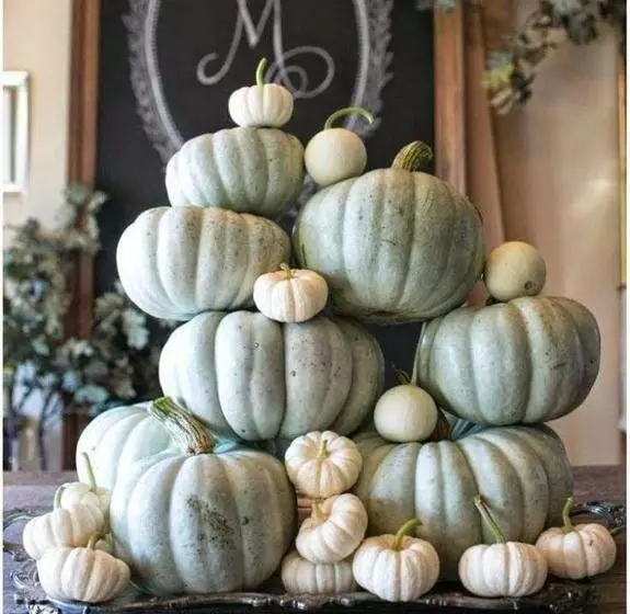 Hotelli Locanda Merlaschio