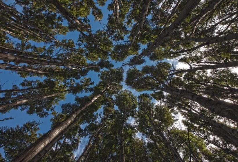 هتل Patagonia Camp