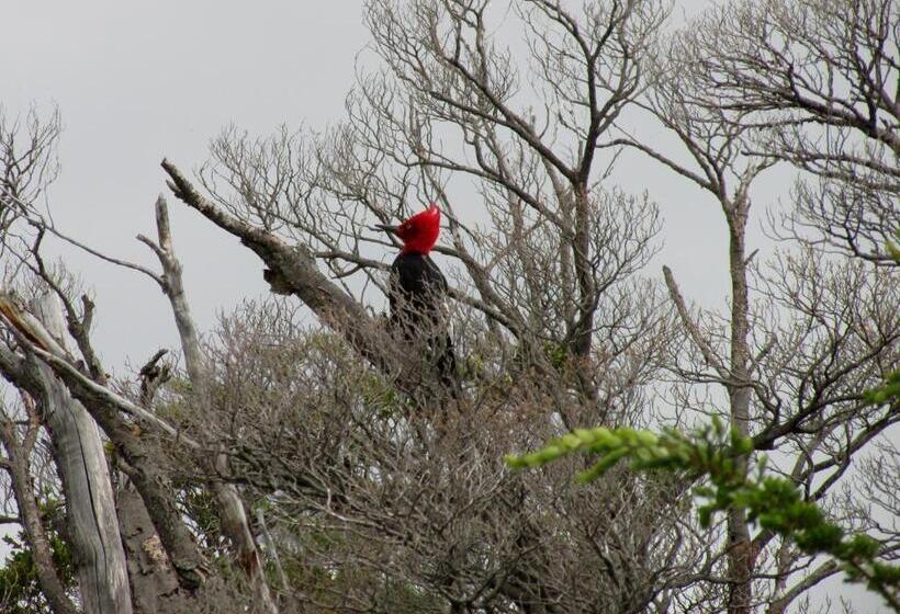 هتل Patagonia Camp