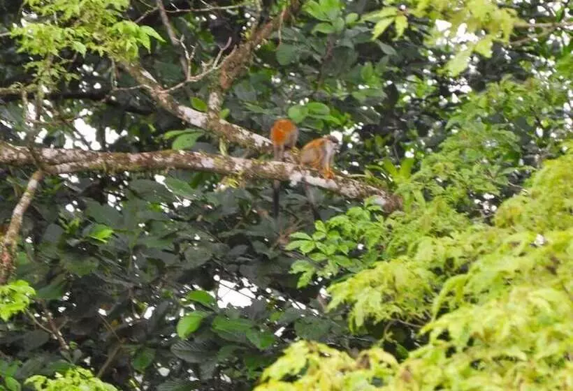 Hotelli Rancho Las Tilapias