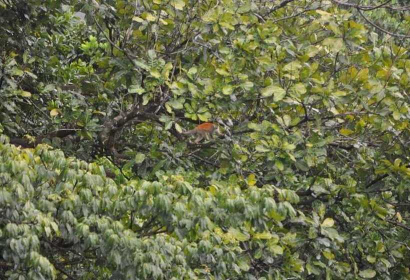 فندق Rancho Las Tilapias