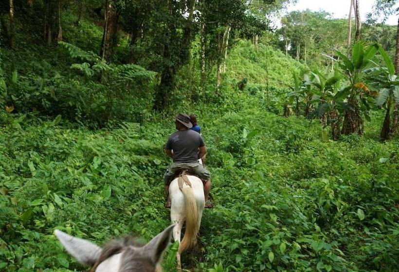 فندق Rancho Las Tilapias