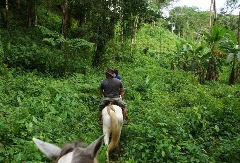 Hotelli Rancho Las Tilapias