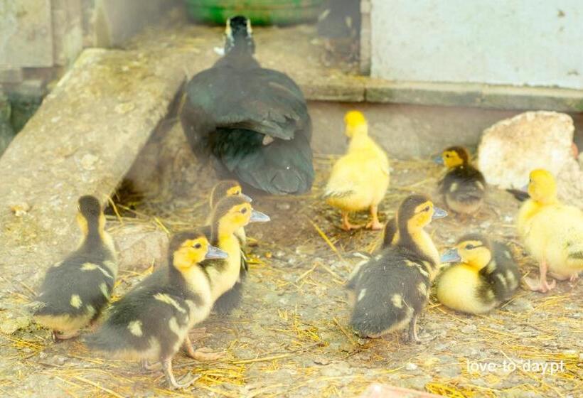 田舎風ホテル Monte Chalaça Turismo Rural