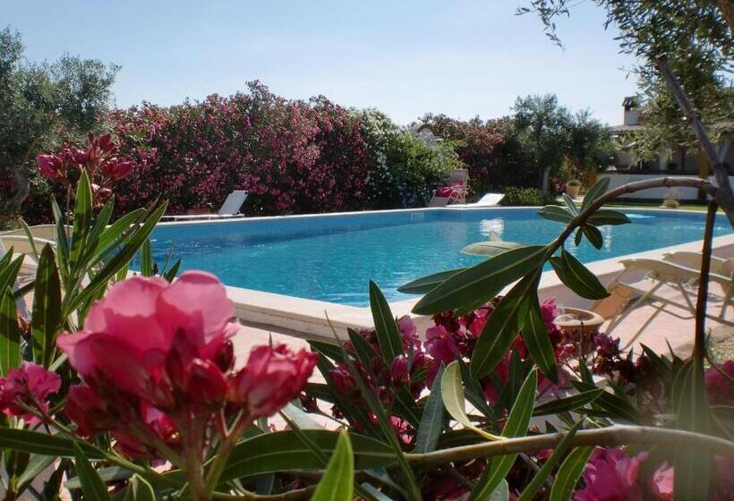 田舎風ホテル Monte Chalaça Turismo Rural