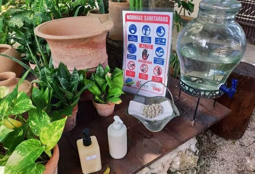 ホテル Secret Garden Tulum