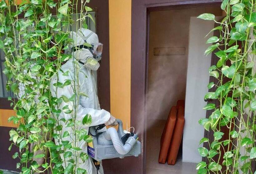 Hotel Secret Garden Tulum