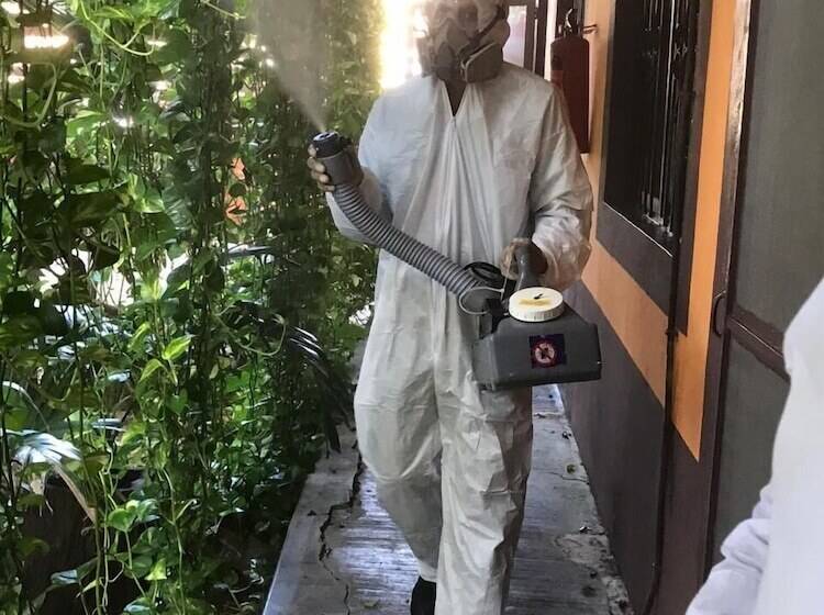 Hotel Secret Garden Tulum