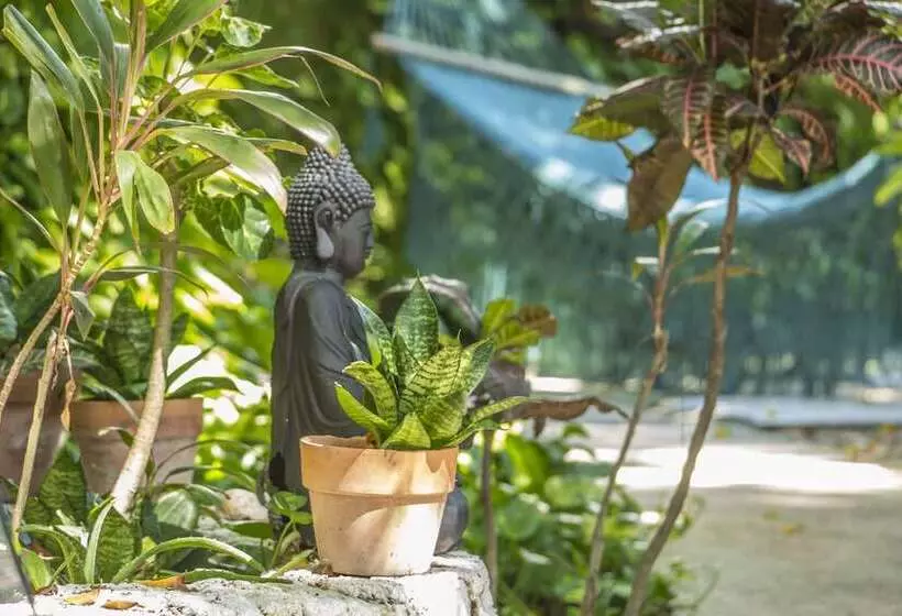 ホテル Secret Garden Tulum