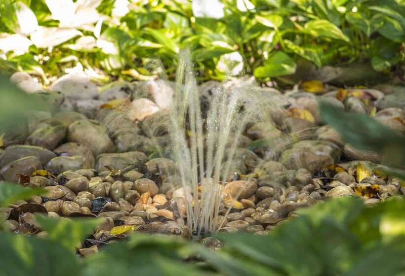 Hotel Secret Garden Tulum