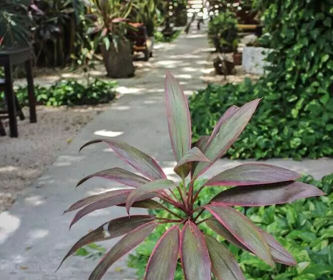 ホテル Secret Garden Tulum