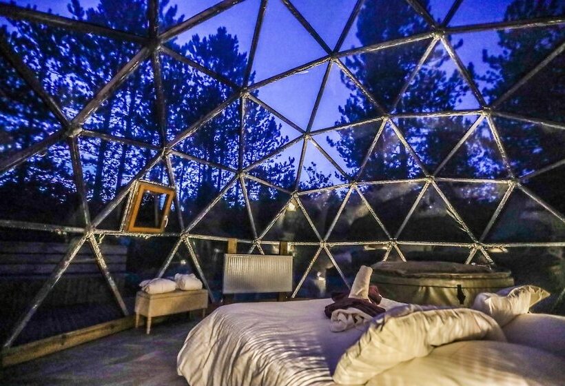 住宿加早餐  Domaine De La Font Vineuse & Spa