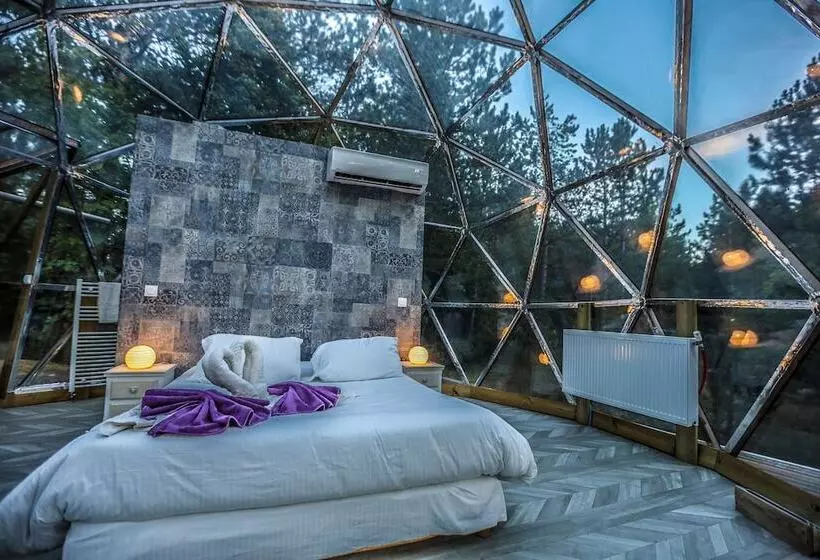 Aamiaismajoitus (B&B) Domaine De La Font Vineuse & Spa