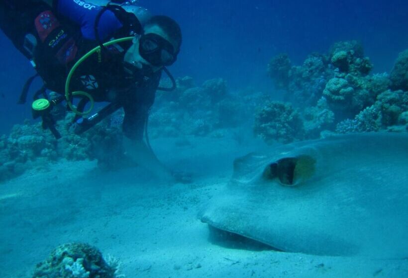 هتل Almarsa Village Dive Resort