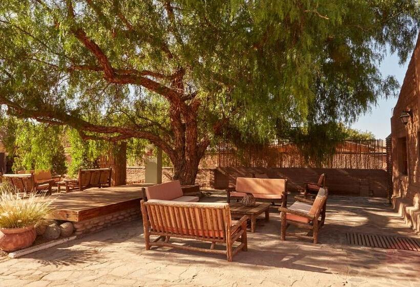 فندق La Casa De Don Tomás