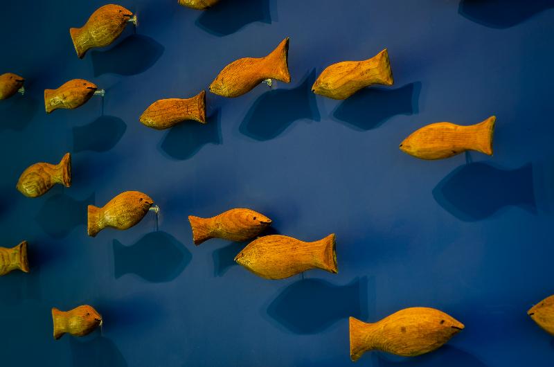 בית מלון כפרי Praia Do Sal Resort