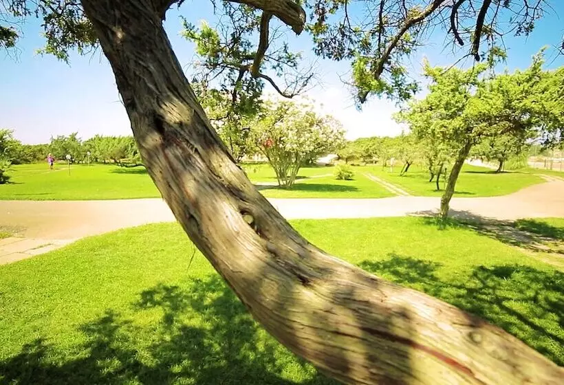 ホテル Villaggio Dei Pini