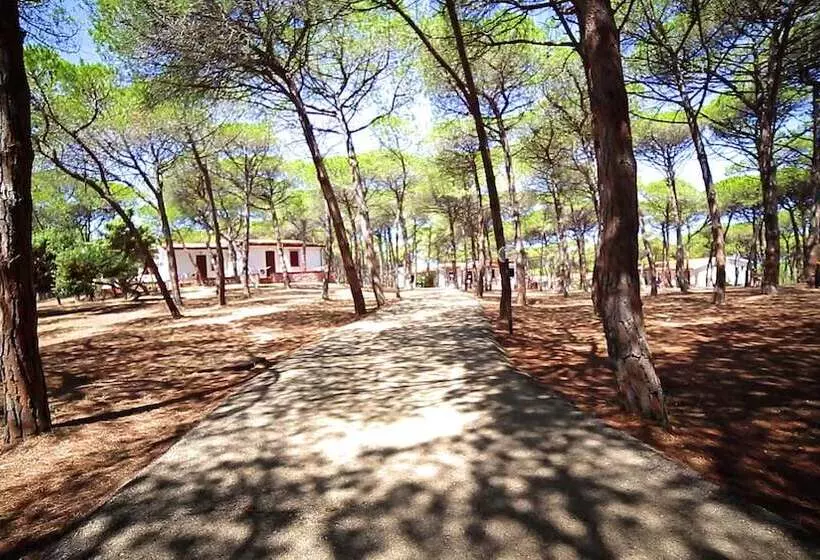 ホテル Villaggio Dei Pini