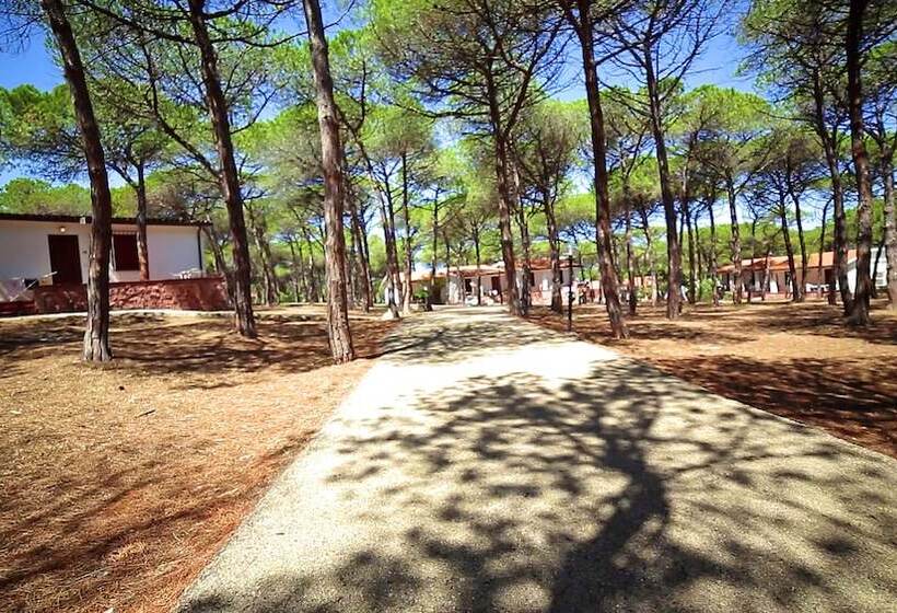 בית מלון כפרי Villaggio Dei Pini