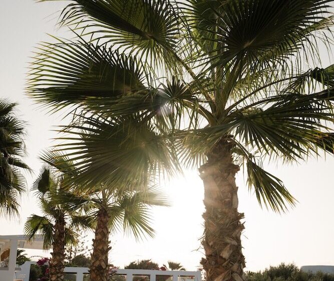 ホテル White Dunes Luxury Boutique