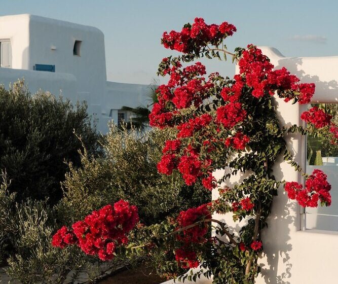 ホテル White Dunes Luxury Boutique