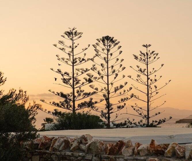 ホテル White Dunes Luxury Boutique