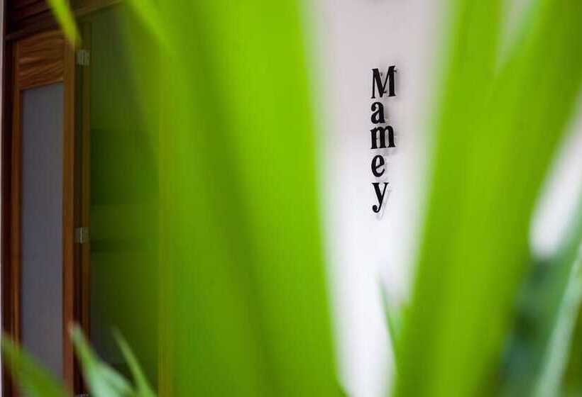 Latino Hotel Boutique