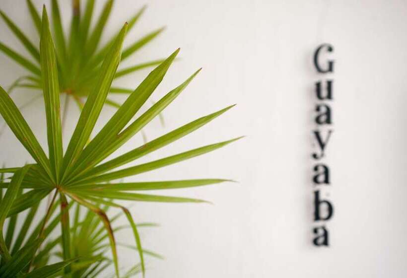 Latino Hotel Boutique