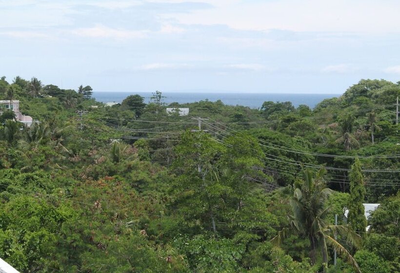 Pansiyon Roger S Place Gay Guesthouse   Caters To Gay Men