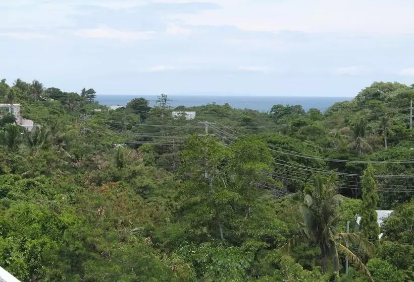 ペンション Roger S Place Gay Guesthouse   Caters To Gay Men