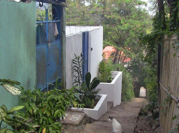 Pansiyon Roger S Place Gay Guesthouse   Caters To Gay Men