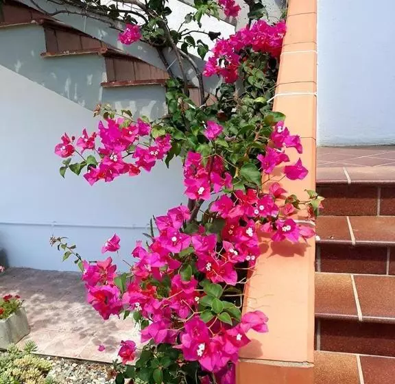 تختخواب و صبحانه La Dimora Degli Artisti