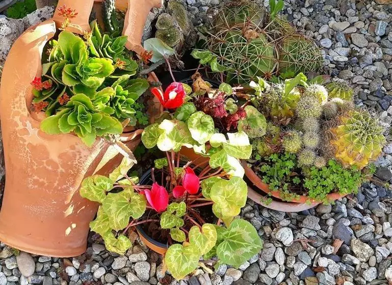 تختخواب و صبحانه La Dimora Degli Artisti