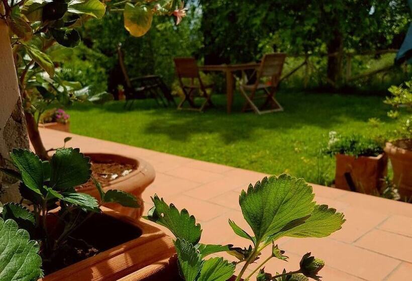 فندق Podere Borgaruccio