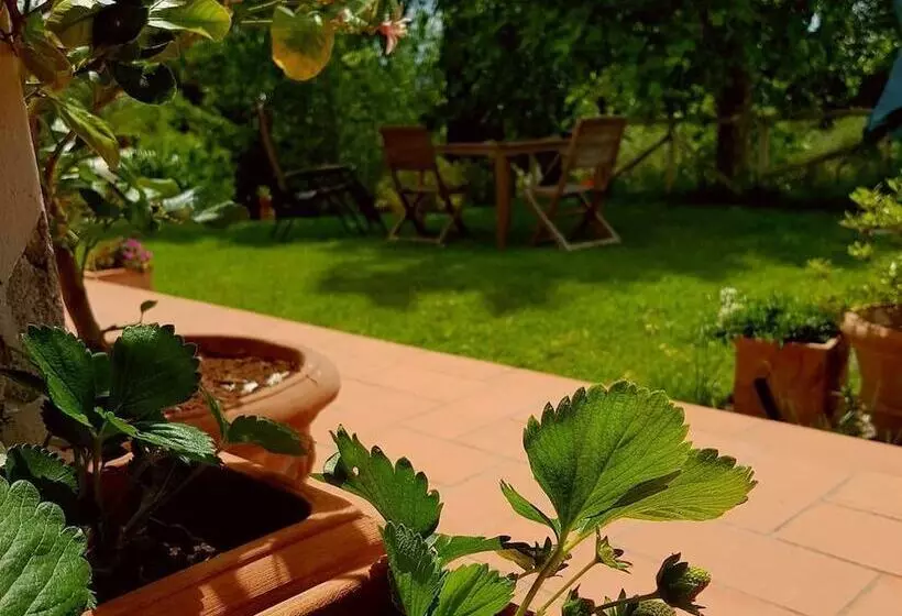 Hotelli Podere Borgaruccio