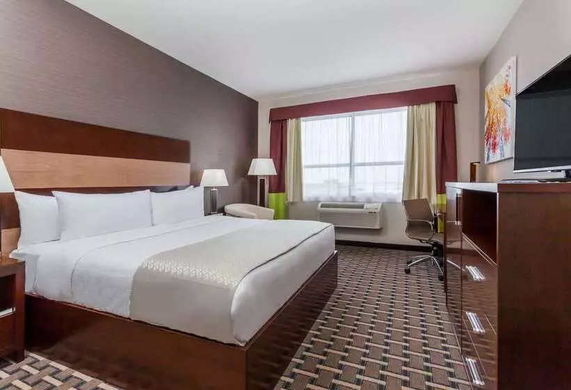 ホテル Wyndham Garden Edmonton Airport